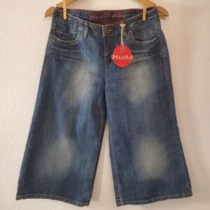 Mudd Y2K Style Jorts